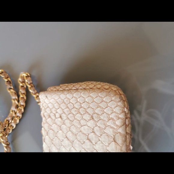 Chanel Mini Python Bag - Picture 7 of 8
